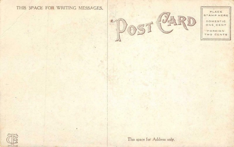 Whiting, Indiana METHODIST CHURCH Lake County c1910s Vintage Postcard