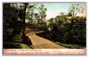 Bridal Bridge Schenley Park Pittsburg Pa. Pennsylvania c1906 Postcard