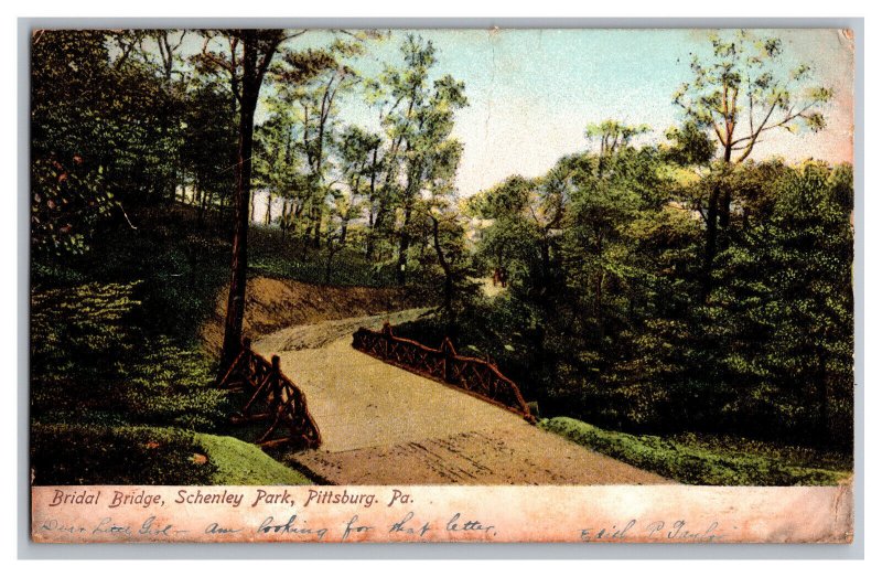 Bridal Bridge Schenley Park Pittsburg Pa. Pennsylvania c1906 Postcard 