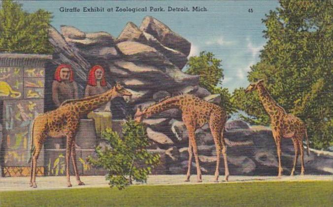 Michigan Detroit Giraffe Exhibit At Zoological Park
