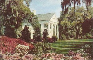 North Carolina Wilmington Orton Plantation