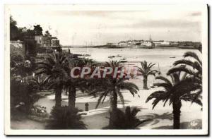 Old Postcard Dinard The palm Basically St Malo