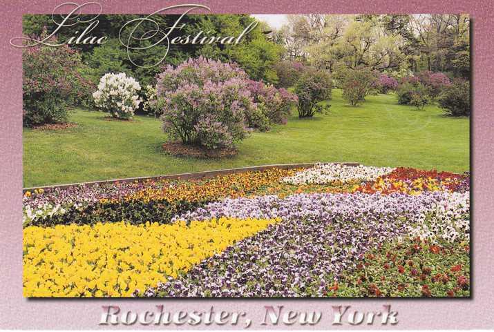 Highland Park NY, Rochester, New York - Lilac Festival and Pansies