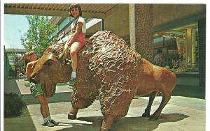 1960's Bison, The Landing, Kansas City, Kansas