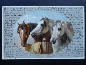 Country Life THREE HORSES by Artist C. Reichert c1905 Postcard by C.W. Faulkner
