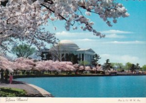 Washington D C Jefferson Memorial With Cherry Blossoms