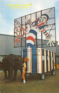 CIRCUS HALL OF FAME Ringling Barnum Wagon Clown Sarasota, FL Vintage Postcard