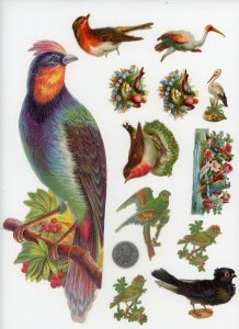 1880's Birds Lot of 12 Die Cut Victorian Scrap X379