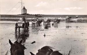 BG23668 nordseeheilbad cuxhaven duhnen horse chariot  germany CPSM 14x9cm