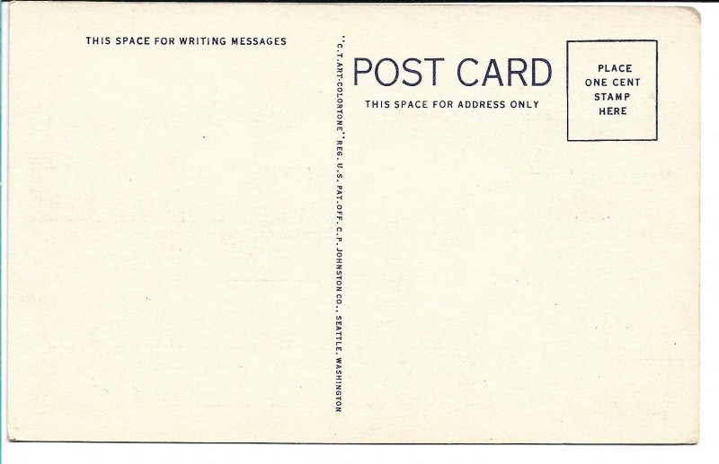 Rainier National Park, WA - Mountain Flowers, White Heather