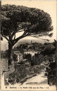 CPA Bastia - La Vieille Ville sous les Pins (108262)