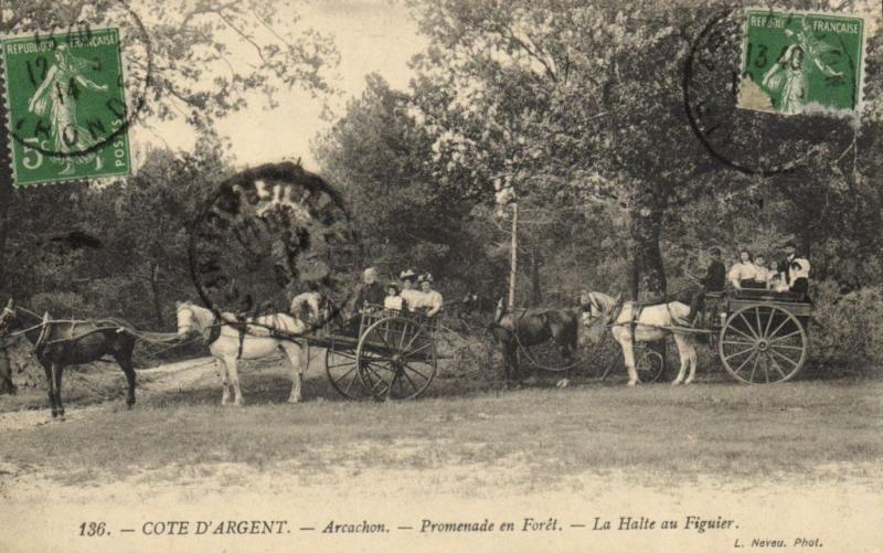 CPA Cote d'Argent - ARCACHON - Promenade en Foret (140061)