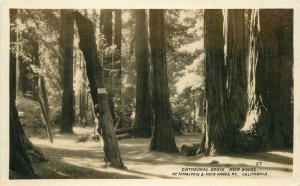 Coachella California Date Palms Indio 1938 RPPC Photo Postcard 20-3424