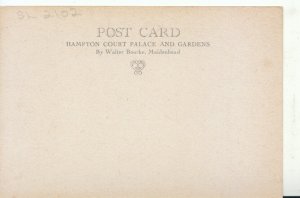 Middlesex Postcard - Hampton Court Palace and Gardens - Ref 19439A