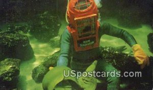 Scuba Diving, Greey Moray Eel - Miami Seaquarium, Florida FL