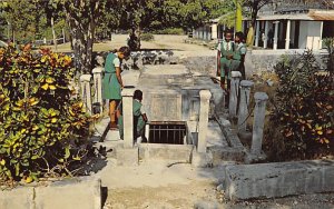 Haunted Chase Tomb Christ Church Barbados West Indies 1974 