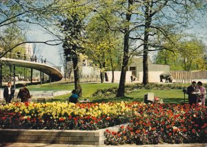 Germany Karlsruhe Neue Tiergartenbruecke