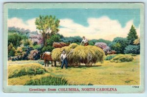 Greetings from COLUMBIA, North Carolina NC ~ Farm 1952 Tyrrell County  Postcard