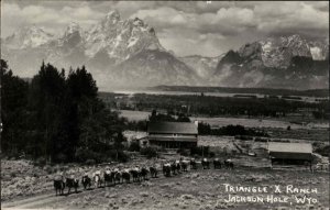 Jackson Hole Wyoming WY Triangle X Ranch Horseback Riding Real Photo Postcard