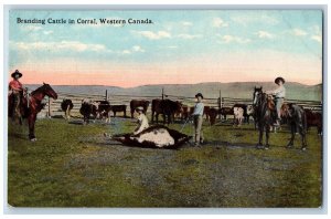 Western Canada Postcard Branding Cattle In Corral Animals Scene c1930's Vintage