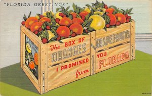 Florida Greetings Boxes of Oranges and Grapefruits Citrus Postal Used, Date U...