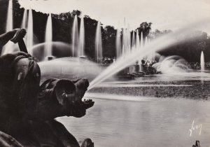 France Versailles Grandes eaux au Bassin de Neptune