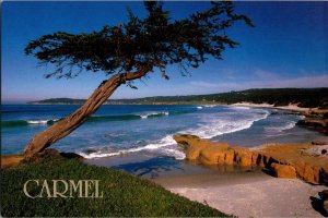Continental Postcard- Cypress Tree Carmel Beach, California CE3