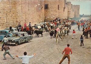 France Aigues-Mortes Une abrivade le long des remparts