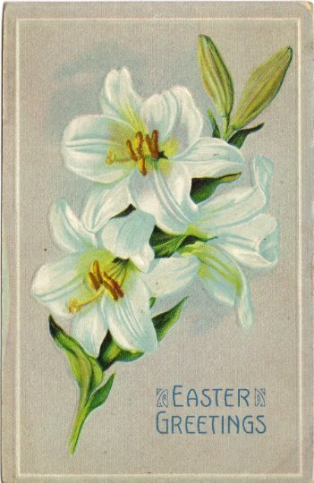 Antique Easter Postcard White Lilies, Vintage Postcard