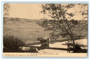 c1920s Pastoral Scene, Kennebunkport Maine ME Antique Unposted Postcard