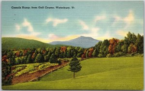 Waterbury Vermont, Camels Hump, From Golf Course, Greenfield, Vintage Postcard