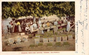 Packing Seedless Grapes, Fresno, CA Farming 1906 Vintage Postcard