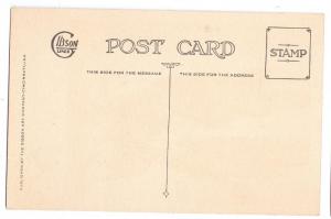 Wise Men Christmas Gibson Art Line Postcard