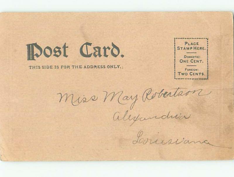 Pre-Linen Comic LIAR LICENSE ON POSTCARD AB9309