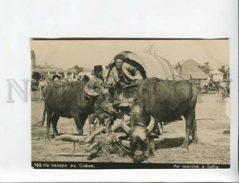 3173305 BULGARIA SOFIA market carriage Vintage photo postcard