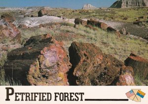 Arizona Petrified Forest National Monument