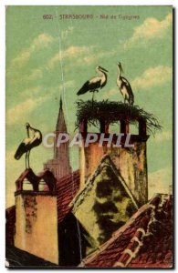Postcard Old Strasbourg Storks Nest