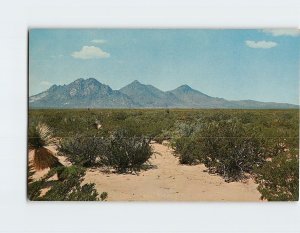 Postcard Three Sisters Peaks Tres Hermanas Mountains, New Mexico