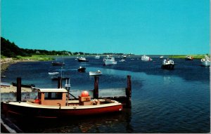 Vtg Fishing Boats on Cape Cod Harbor Massachusetts MA Postcard