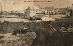 CPA Prasqu'ile de QUIBERON - PONTIVY vue générale (33082)