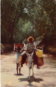 Local Transportation Through Bamboo Grove Jamaica Postal used unknown 