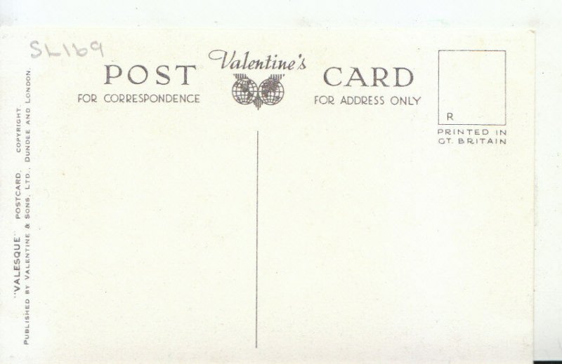 Animals Postcard - New Forest Ponies - Ref 20412A