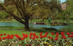 Vintage Postcard Swan Boat And The Famous Public Gardens Boston Massachusetts MA