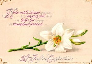 Vintage John Winsch Beautiful Easter Lily Flower Antique Postcard