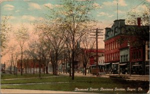 Vtg 1910s Desmond Street Business Section Sayre Pennsylvania PA Postcard