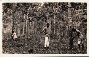 Indonesia Java Chopping Wood Forest Vintage RPPC C130