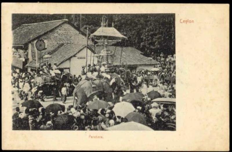 ceylon, PERAHARA, Procession with ELEPHANTS (1905)