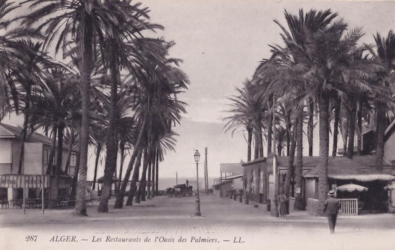 Alger Algeria Les Restaurants De L'Oasis Des Palmiers Postcard