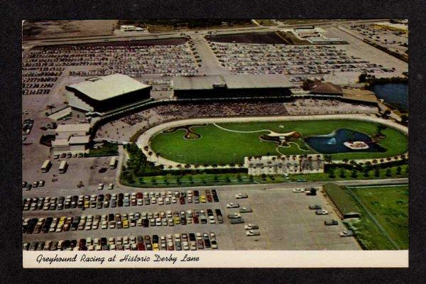 FL Greyhound Dog Racing Race Track St Petersburg Florida Postcard