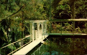 Florida Fort Myers The Edison Winter Home The Swimming Pool